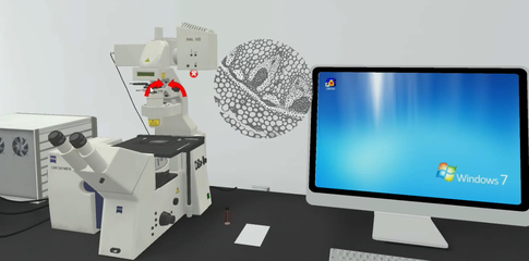 北京歐倍爾激光掃描共聚焦顯微鏡虛擬仿真軟件 設備、功能與教學價值